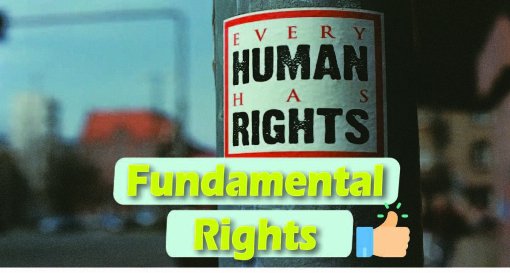 fundamental rights india